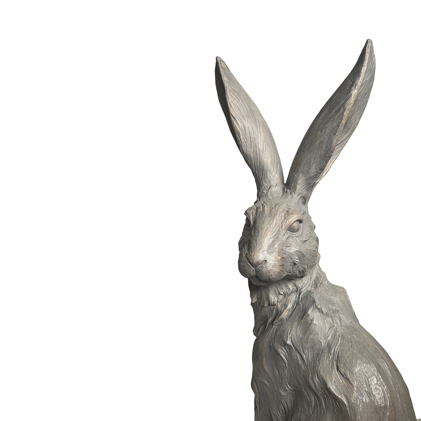 Country Hare, standing grey