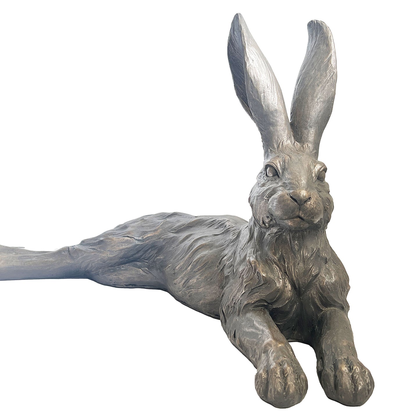 Country Hare, resting grey