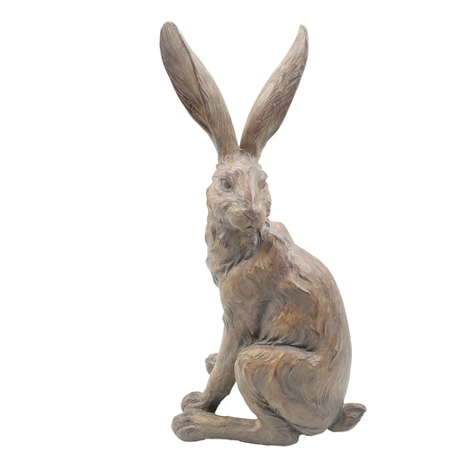 Country Hare, standing earth