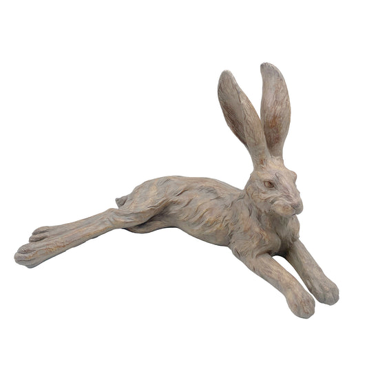 Country Hare, resting earth