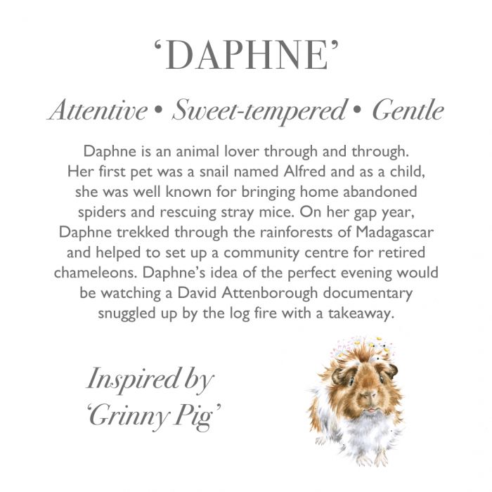 Wrendale Daphne Guinea Pig Large Plush Toy