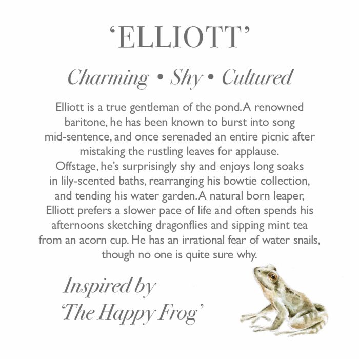 Wrendale Elliott Frog junior plush toy