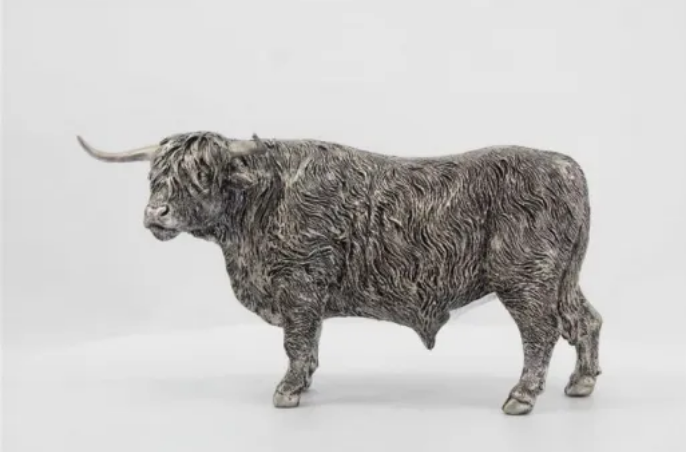 Highland Bull