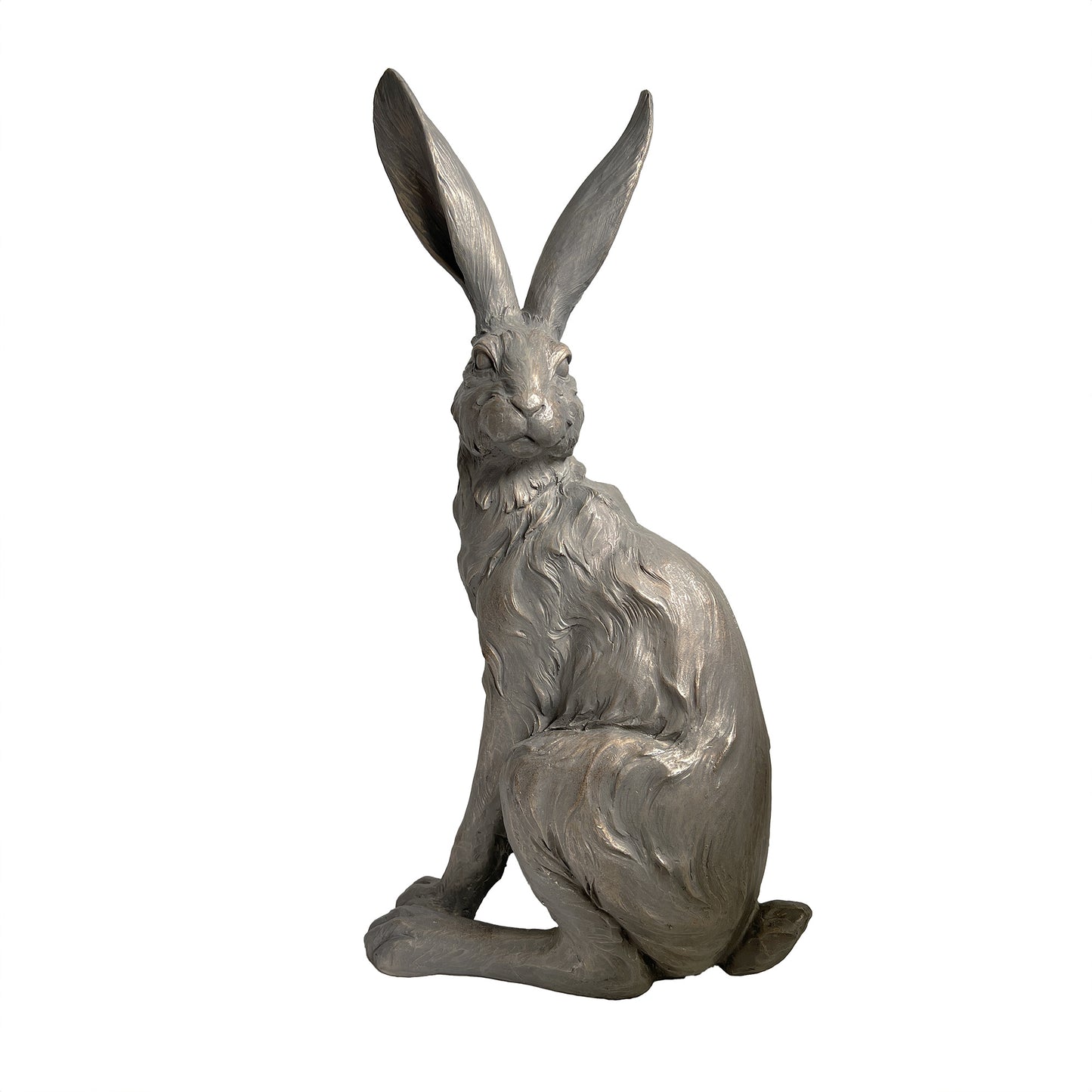 Country Hare, standing grey