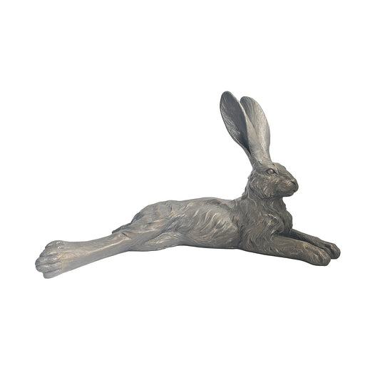 Country Hare, resting grey