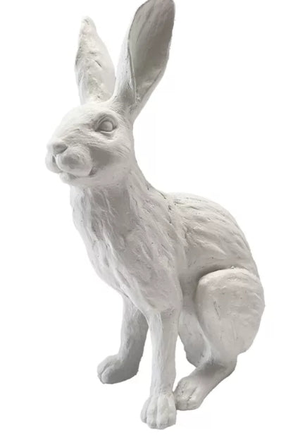 White Rabbit French White