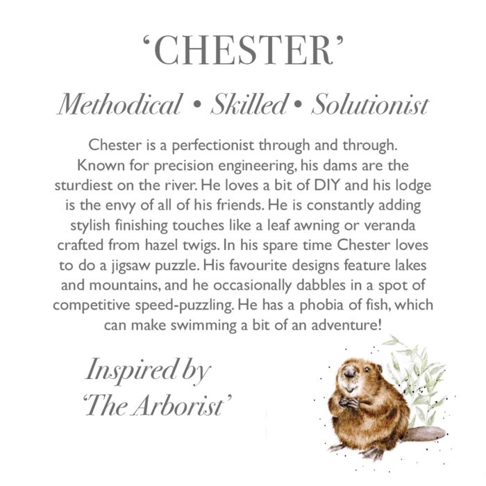 Wrendale Chester Beaver Junior
