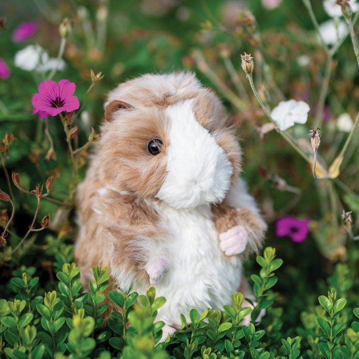Wrendale Daphne Guinea Pig Large Plush Toy