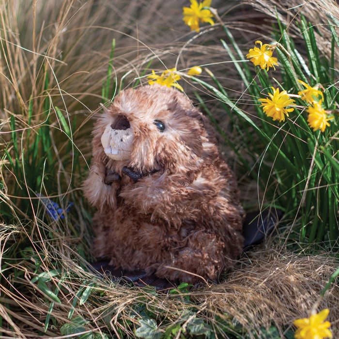 Wrendale Chester Beaver Junior